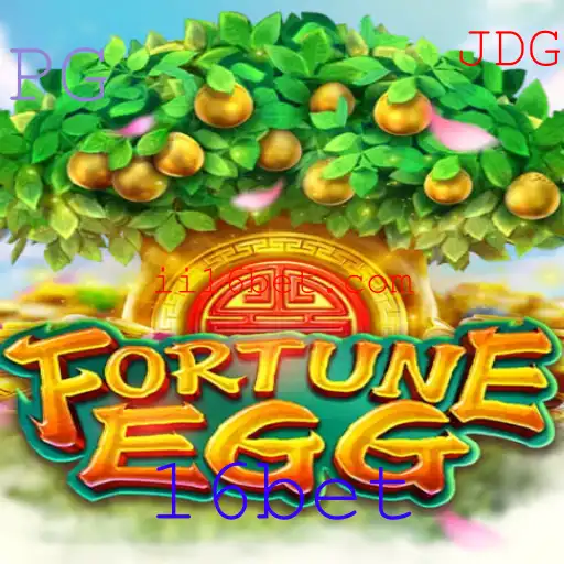 16bet Casino App