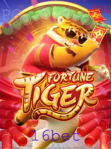 16bet Casino App