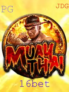 16bet Casino App