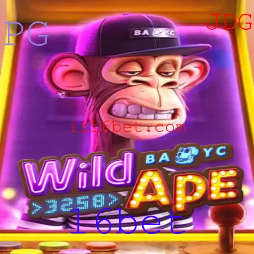 16bet Casino App